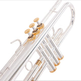 B♭トランペット【JBTR-050S】