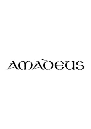 バストン／ソプラノリコーダーと弦楽器、通奏低音のための協奏曲第5番・ハ長調《輸入リコーダー楽譜》の画像