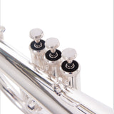 フリューゲルホルン【JBFH-1150S】