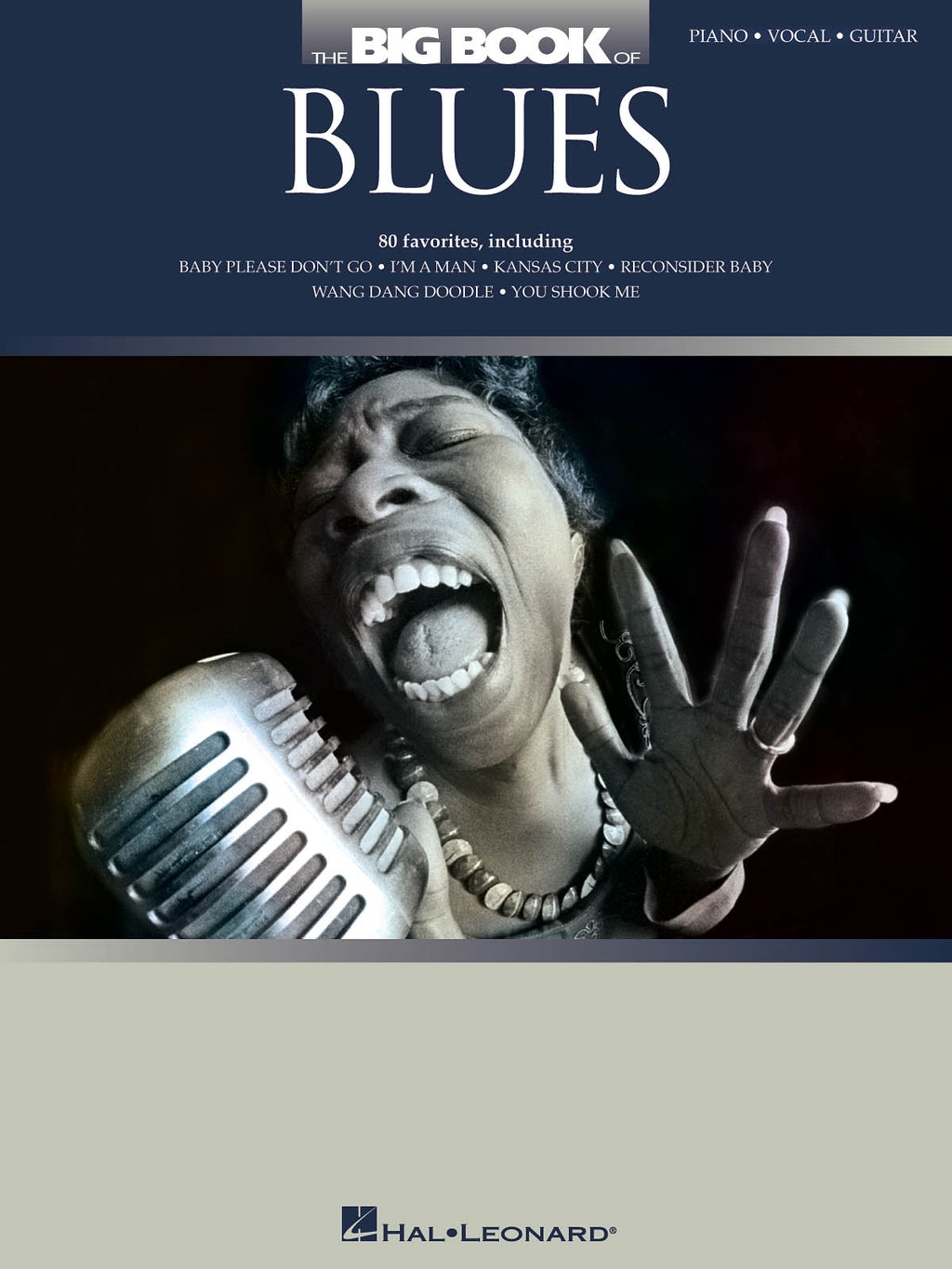 BLUES ブルース大全集 ダブルデラックス 2枚組 LPレコード BLUES